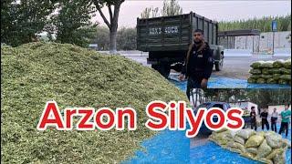 933952216 Arzon Silyos sõraganlar uchun optom narxlarda shoshiling