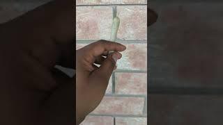 perfect cone spliff!
