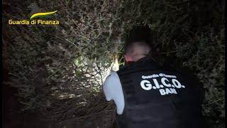 Traffico internazionale di droga, sequestro per oltre 2 milioni a Bari: "Beni sproporzionati"