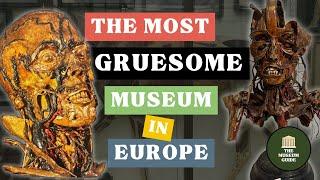 France's "House of Horrors" - The Fragonard d'Alfort Museum