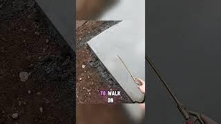 Exposed Aggregate #concrete #exposedaggregate #howto