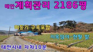 [물건번호 339번]태안 미등기 구옥포함 계획관리지역 토지 2186평 입니다. 시내접근성 좋으며 저렴하게 매매합니다.