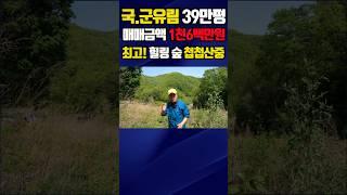 경북땅 시골 땅 국유림 군유림 약39만평 접 최고의 오지땅 나는자연인이다 #촌땅경북땅 #촌땅시골땅 #촌땅산촌땅 #촌땅오지땅 #촌땅싼땅 #촌땅매물 #촌땅토지 #촌땅급매