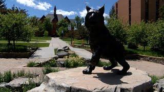 Montana State University paves "Roadmap" for Fall 2020 semester