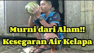 Menikmati Air Kelapa Murni di Alam Bebas! Sejuk dan Bikin Rileks
