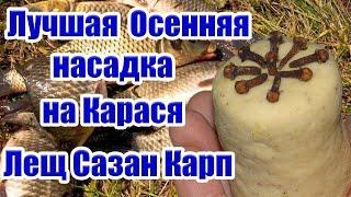 Супер Осенняя Насадка для Карася Леща Сазана Рыболовная насадка на карася На что ловить крася