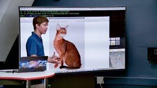 Computer Vision and Machine Learning, by Nick Wong