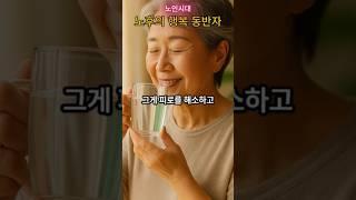 피로가 누적될수록 면역은 무너집니다/노인시대