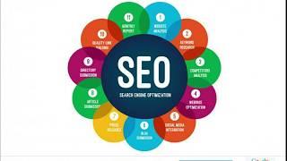 Top SEO Company In India | Improve Search Ranking | Daksha SEO