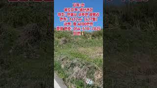 안동땅 네모반듯한 남향 토지 #안동땅 #안동부동산 #경북땅 #경북땅매매 #경북부동산 #경북토지 #의성땅매물 #의성땅 #의성땅매매 #의성부동산 #의성토지매매 #의성토지