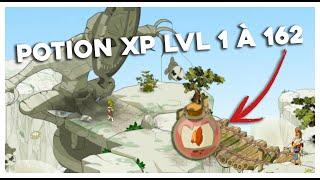 (RE)COMMENCER DOFUS RÉTRO APRÈS UN TEMPORIS | XP, KAMAS & CO !