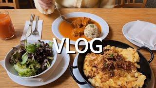 VLOG 브이로그 |오스트리아 필수 맛집 코스만 다녀왔다 숙소 근처에서 찾은 맛집 피그뮐러 1호점 모차르트 카페 립스 오브 빈까지 오스트리아에서 뭐 먹지?