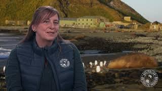 Rebecca Jeffcoat (Macquarie Island Research Station)