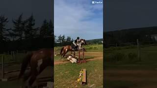 okay addie!! first 2”9 for both READ PINNED COMMENT PLS  #horse #addie #equestrianriding #paint