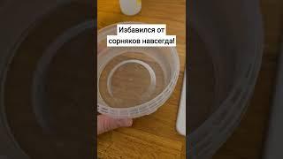 Избавился от сорняков навсегда! #сорняки #отсорняков #сад #огород #дача