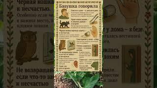  БАБУШКИНЫ ПРИМЕТЫ: ЧТО ПРЕДВЕЩАЮТ ЗНАКИ ВОКРУГ НАС