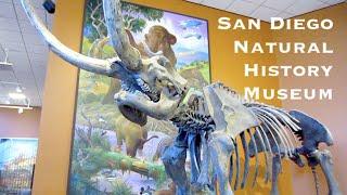 San Diego Natural History Museum