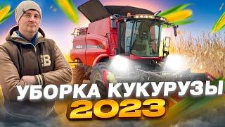 Рекордный урожай.Технология уборки кукурузы с бункером перегрузчиком.