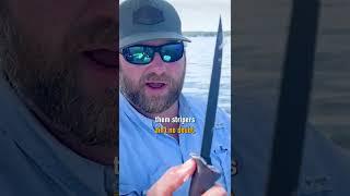 Folding Fillet Knife and Cutting Board | Fillet System | Toadfish Stowaway #shorts