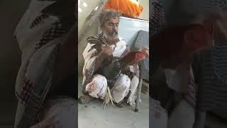 murge ki malish 