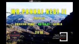 2018 | Mr. Pankaj Negi ji | Pruning Camp | RATNARI | Shimla |  Lets Grow Apple