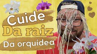 IMPORTANTE: Como cuidar da RAIZ de ORQUÍDEA