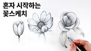 Draw flowers with a pencil