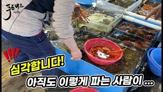 [속초 동명항] 관광객 호구 만들기? 진짜 너무한거 아닌가요!!!