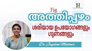 Fig | അത്തിപ്പഴം | ഗുണങ്ങളും ഉപയോഗങ്ങളും | Dr Jaquline Mathews BAMS