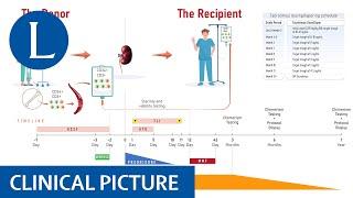 Giving a kidney and stem cells: brotherly love in end-stage renal failure