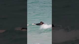  Spring Break at Miami Beach 4K