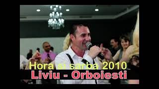 Domnisoara cu par lung la majorat Morena-Hora si Sarba-Liviu de la Orboiesti 2010