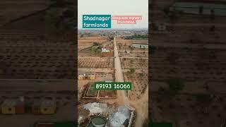 #banglore highway farmlands #agricultural land  for sale in shadnagar Hyderabad