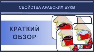 Айман Сувейд. 1. Краткий обзор и классификация свойств арабских букв (русские субтитры)