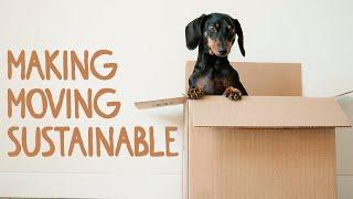 Making Moving Sustainable And More Efficient | TygaBox