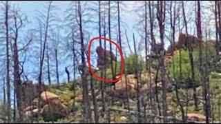 Pikes Peak Bigfoot Drinking in Creek & Thunder Butte Sasquatch