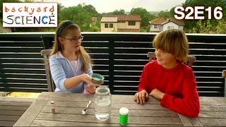 Backyard Science | S2E16 | Make a rainbow in a jar