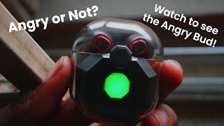 Angry Earbud Review: Affordable Earbud for Everyone