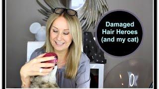 Damaged Hair Heroes