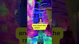 What is Meow Wolf?