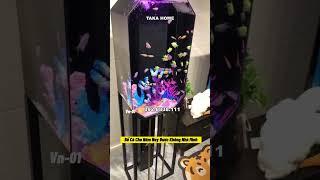 diện tích hòn non bộ Taka home | Thế Kế Nội Thất Taka Home 02