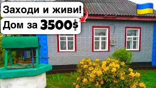  Заходи и живи! Дом в селе за 3500$ Продажа недвижимости за копейки! Всё есть Уютное тихое село!