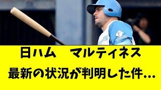 [Nippon Ham] Ariel Martinez's latest status revealed...