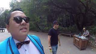 steven muir woods day vacation switzerland san francisco gopro