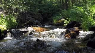 High Sierras small waterfalls Summer 2020