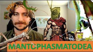 Mantophasmatodea: Gladiator Insects - Order Spotlight