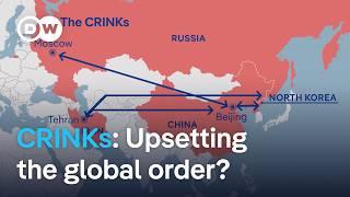 CRINKs: Russia's expanding web of military partners | DW News