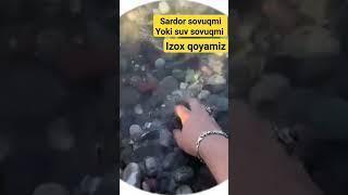 Tik toker sardor suvda muzlapti