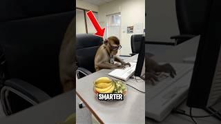 Top 5 Animals That Are Smarter Than You Think 