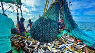 Amazing Fishing! We Caught Lots Of Pomfret &King Fishes In Single Catch |DAY-2 I EP-2 |